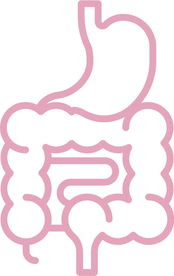 Digestive System <br/> Cancer